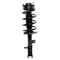 Prt Suspension Strut And Coil Spring Assembly, Prt 810412 810412